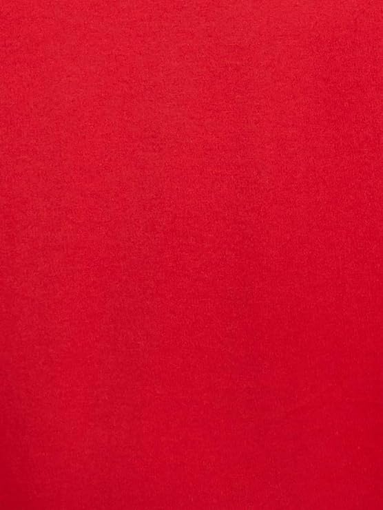 Polo Ralph Lauren Men's Classic-Fit V-Neck Cotton T-Shirt  Color Red Size 2XL