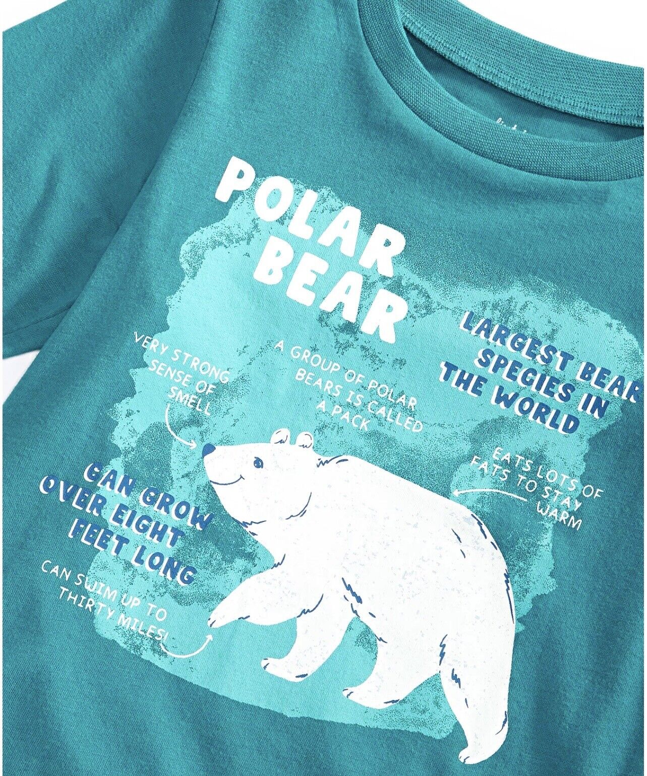 First Impressions Baby Boys Polar Bear Facts Top  Color Harbor Blue Size 12 months